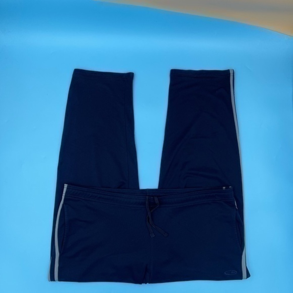 Embroidered Champion Track Sweatpants